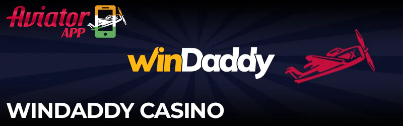 Aviator game in WinDaddy Casino app